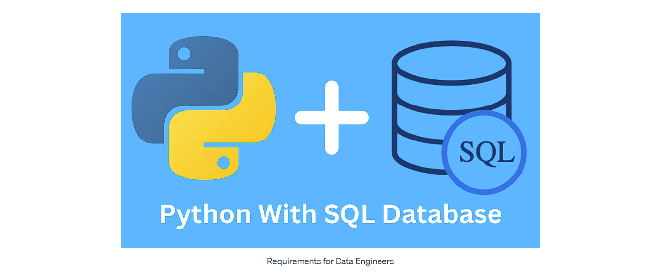 Navigating the Database Realm: Unraveling the Roles and Responsibilities